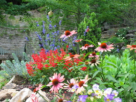 2007 06-Eureka Springs Flowers